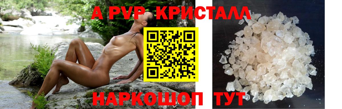 A-PVP СК КРИС Сердобск