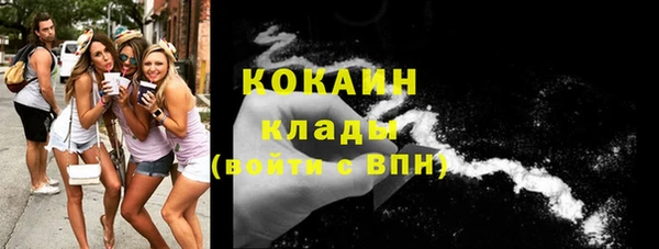 дживик Переславль-Залесский