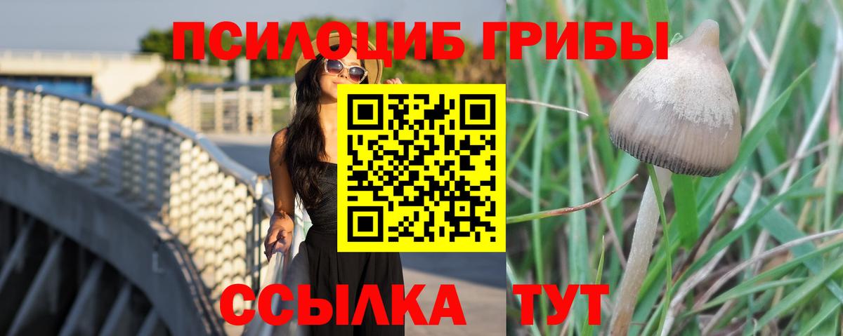 Галлюциногенные грибы GOLDEN TEACHER Сердобск