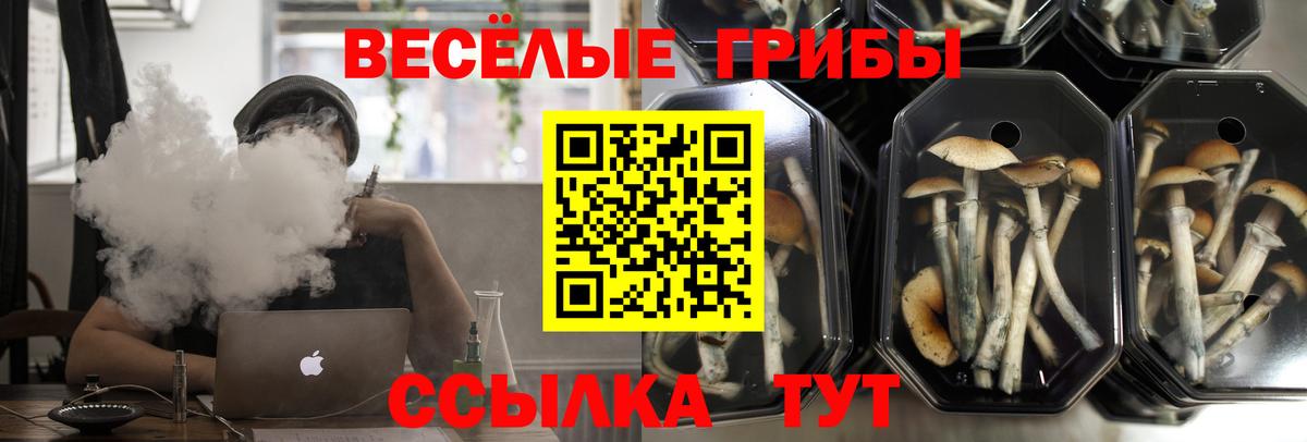 Псилоцибиновые грибы прущие грибы  Галлюциногенные грибы MAGIC MUSHROOMS  купить закладку  Вход с VPN  Сердобск 