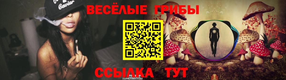 Бошки Шишки Сердобск